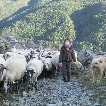 Allotjament Taga Ribes De Freser Exteriér fotografie