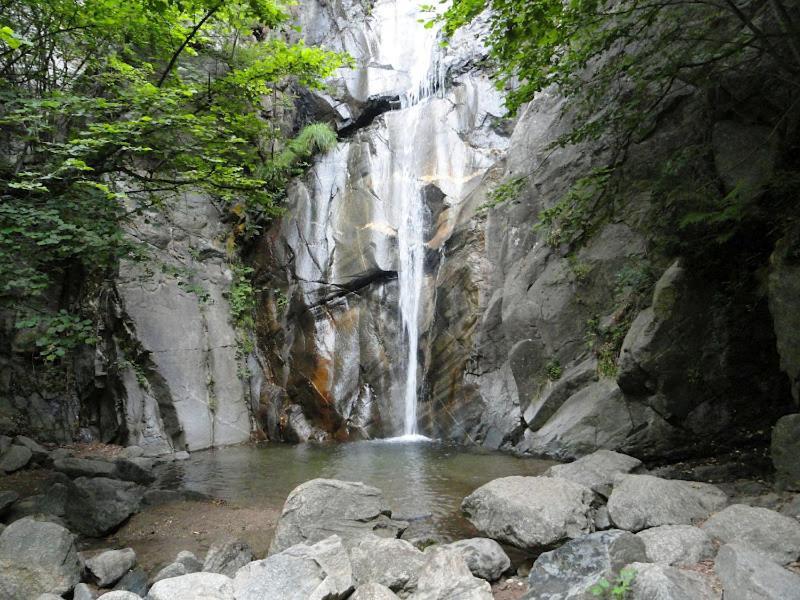 Allotjament Taga Ribes De Freser Exteriér fotografie