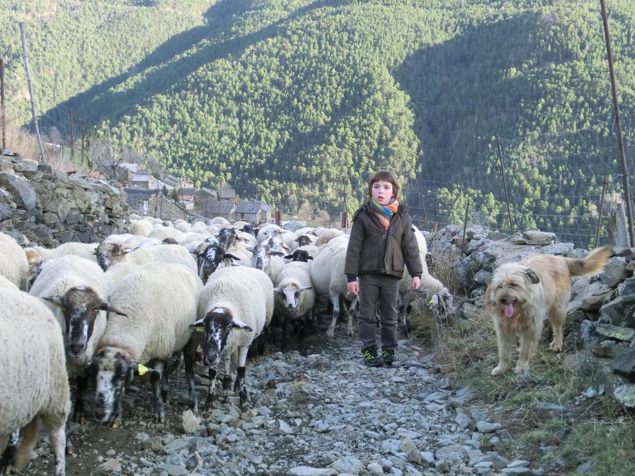 Allotjament Taga Ribes De Freser Exteriér fotografie