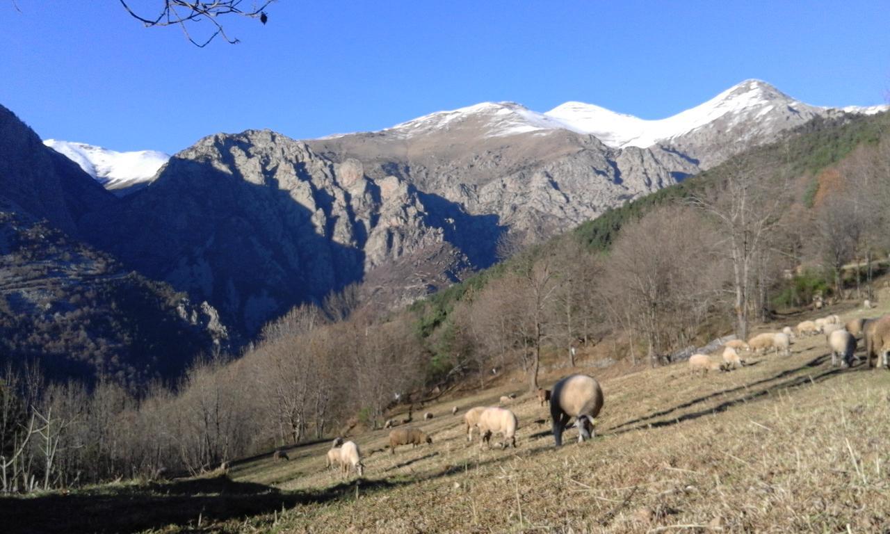 Allotjament Taga Ribes De Freser Exteriér fotografie
