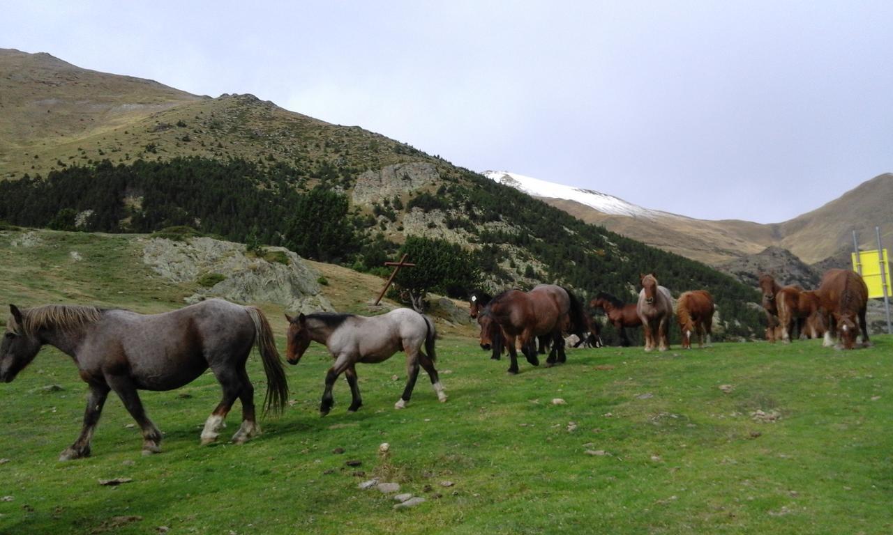 Allotjament Taga Ribes De Freser Exteriér fotografie